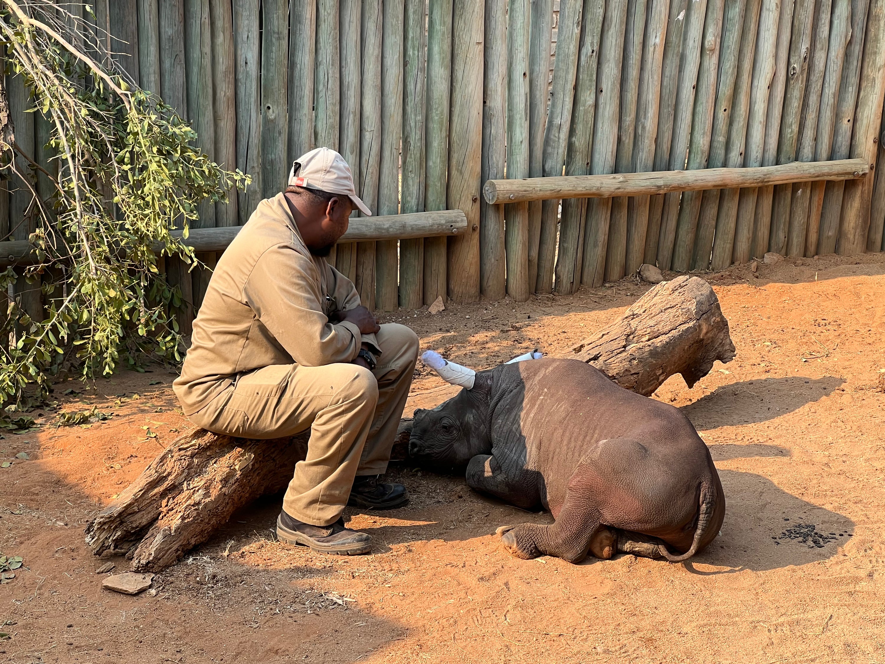 Riri Signature Kenyan Coffee Beans 250g Care For Wild Collaboration Supporting Orphaned Rhino RiRi