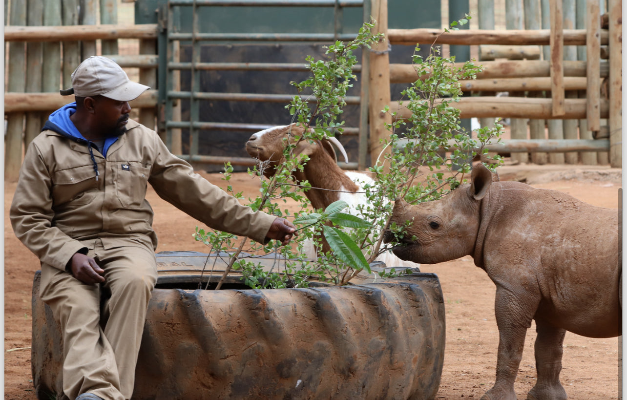 Riri Signature Kenyan Coffee Beans 250g Care For Wild Collaboration Supporting Orphaned Rhino RiRi